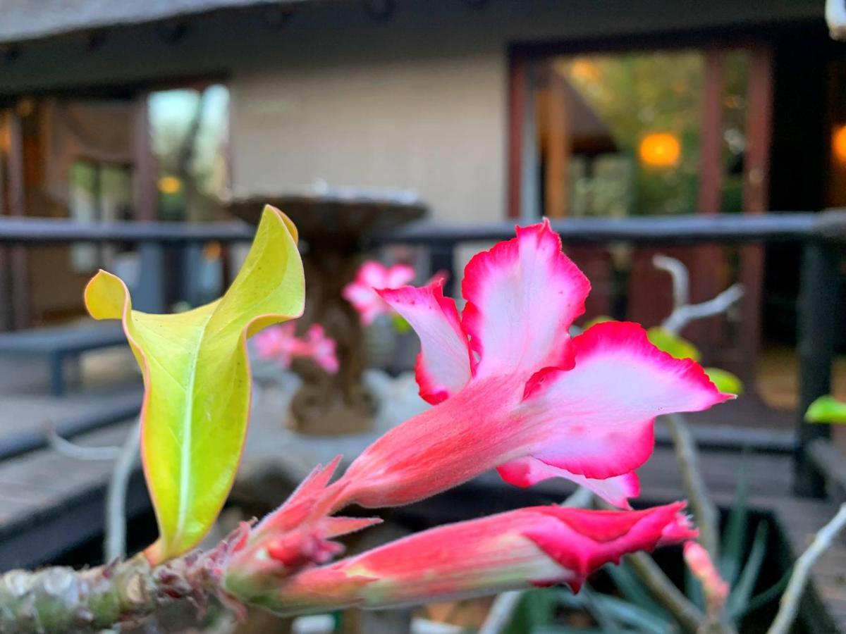 Hoedspruit Raptors Lodge N16 エクステリア 写真